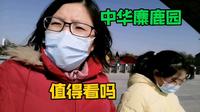 爱姐一家从山东回上海堵在大丰，顺路逛逛中华麋鹿园，值得看吗