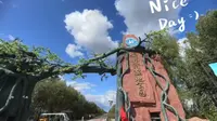 再游双鸭山安邦河湿地公园