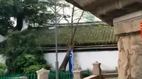 绕塔祈福～福州乌塔