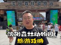 沈阳森林动物园旅游攻略