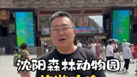 沈阳森林动物园旅游攻略