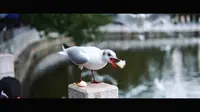 昆明翠湖公园