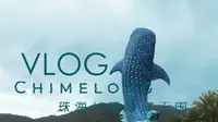 珠海长隆海洋王国一日游 Chimelong Ocean Kingdom 2021 vlog