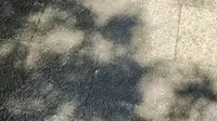 保定秀水峪