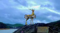 金华洱海｜仙山圣水幽林沙滩｜金华山鹿女湖