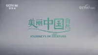 《美丽中国自然》呼伦贝尔系列_呼伦湖