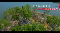花样菏泽|成武文亭湖