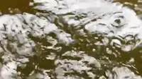 桂林荔浦天河瀑布游记