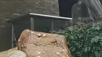 清渭楼美术博物馆
