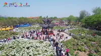 4月1日 曹州牡丹园正式开园往年牡丹盛景 快来一睹为快———曹州牡丹园  一园春色待君来