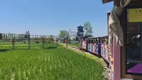 2026年6月沈阳“稻梦空间”景区内小火车运转纪实