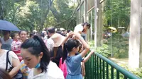 五一小长假第一天，实拍广西柳州动物园爆满了，人挤人，非常热闹
