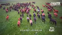 行色张掖 晨邀你来-山丹军马场