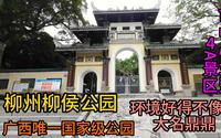 市中心免费4A景区，广西唯一国家级公园，环境好得不像话，柳州柳侯公园，大名鼎鼎