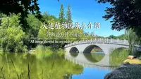 大连植物园景点介绍-探索大连植物园的美丽世界