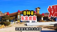 长春游玩推荐:吉林省东北虎园，看看冬季营业时间，门票花了多少钱