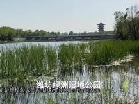 潍坊仙境——白浪绿洲湿地公园