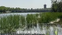 潍坊仙境——白浪绿洲湿地公园