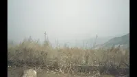1983参观辽宁抚顺平顶山惨案纪念馆