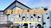 我在蒙牛很想你 数智化工厂等你来
