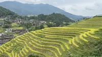广西Vlog｜龙脊梯田｜千层天梯