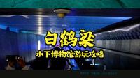 重庆涪陵白鹤梁水下博物馆游玩攻略