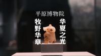 令人意想不到的河南新乡博物馆