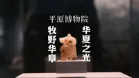 令人意想不到的河南新乡博物馆