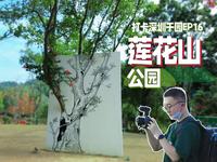 城市公园天花板？莲花山名副其实吗？打卡深圳1000座公园-EP16莲花山公园