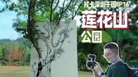 城市公园天花板？莲花山名副其实吗？打卡深圳1000座公园-EP16莲花山公园