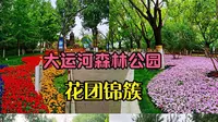 北京通州大运河森林公园，鲜花众多，风景如画，游人很少#星计划##打卡挑战S6##跟着UP主创作吧##旅行随手拍#