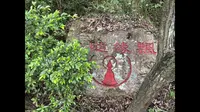 20241019金塘岛－仙人山