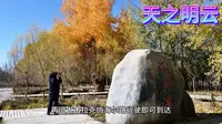 新疆--喀什地区泽普金湖杨5A景区最全攻略