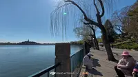 北京北海公园 春日漫步 上