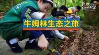 牛姆林生态景区作为福建的“小西双版纳”，还是非常值得推荐一下的。自然资源保护的很好，酒店也相对其他生态区要好很多。牛姆林生态自然之旅，远离拥堵