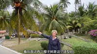 自驾海南的东郊椰林，这里椰子树超级多，太美了