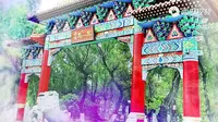 双鸭山市北秀公园夏日里家乡我们的风景