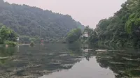 乘高铁到峨眉山，从清音平湖到自然生态猴区，只有一只猴子不讲礼貌，拦路硬要过路费。