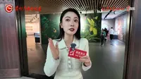 【 2026】|贵州省地质博物馆"珍稀昆虫”对话“非遗蜡染”（ · ）【云游直播回放】-溜达搬运