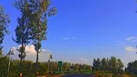 利辛县西淝河畔风光 （王市段西王桥——东城桥）