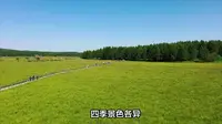 七彩斑斓的森林仙境——承德七彩森林景区旅游攻略