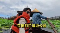 游览苏州荷塘月色湿地公园，端午节虽然已过，但还是想送上迟到的祝福