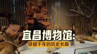 2025-6-19宜昌博物馆