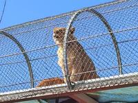 天津野生动物园一日游