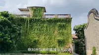 广州花都区塱头村，700多年的古村，村民全部姓黄，现在完全被商业化了，古村里开了不少店
