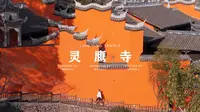 灵鹰寺｜西昌绝美古刹🏯龙年愿大家心想事🍊