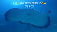 上海长风海洋世界物种鉴定（2025版）