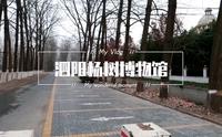 volg|泗阳杨树博物馆