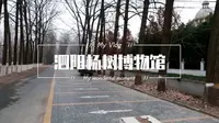 volg|泗阳杨树博物馆