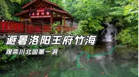 自驾洛阳王府竹海，体会万亩竹海，感受森林氧吧！